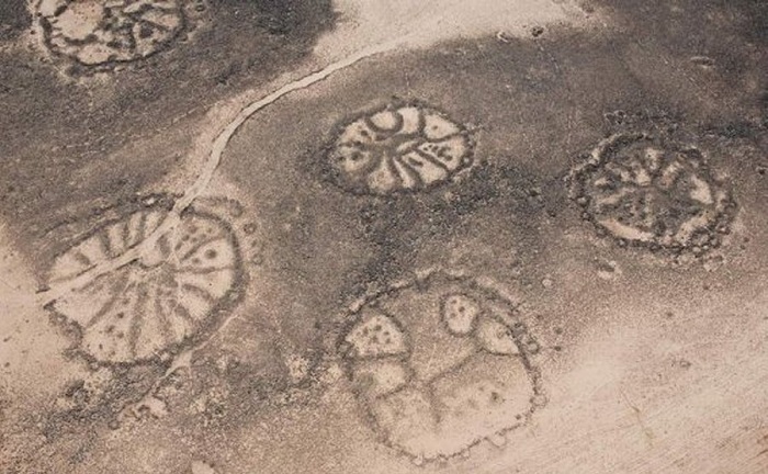 В Перу найдены необычные круги